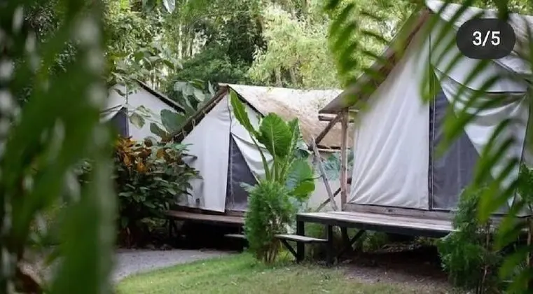 Rewild Camp And Cafe