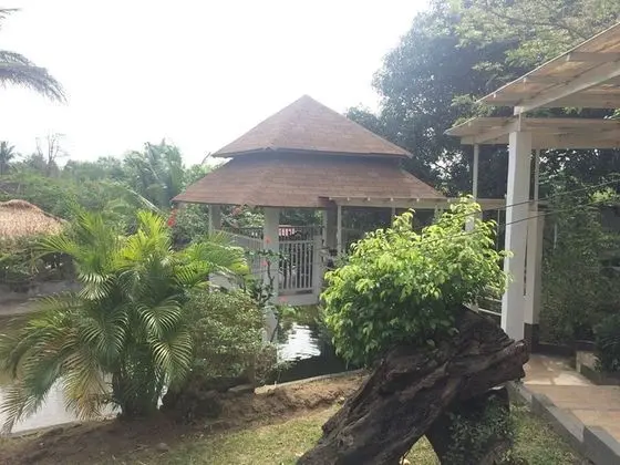 REX Habitat and Cultural Display Area - Dış Mekan