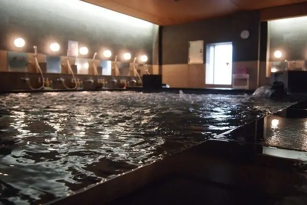 Rex Inn Kawasaki - Caters to Men - Havuz