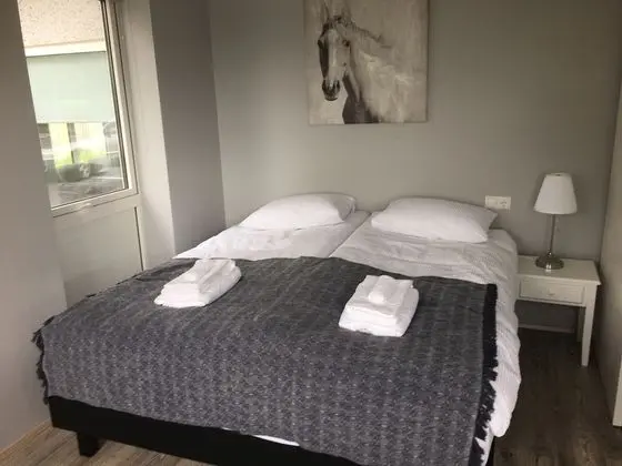 Reykjadalur Guesthouse - Oda