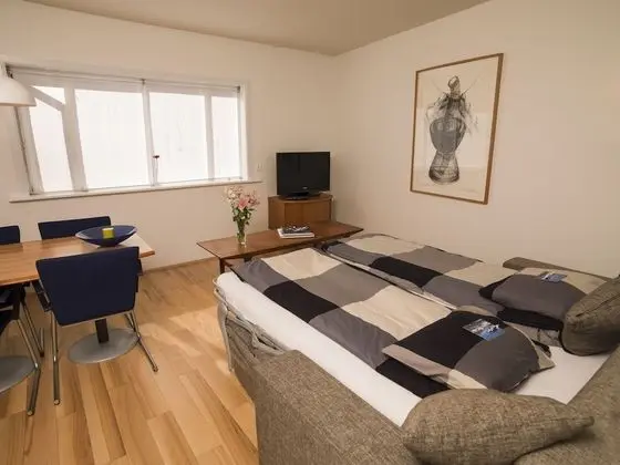 Reykjavík Central Apartments - Oda