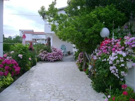 Rezikica - Green Oasis - A2 - Dış Mekanlar