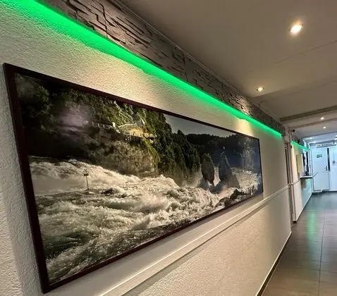 Hotel Rheinfall - Lobi