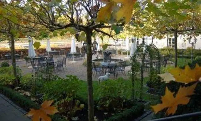 Rheinhotel Schulz - Manzara / Peyzaj