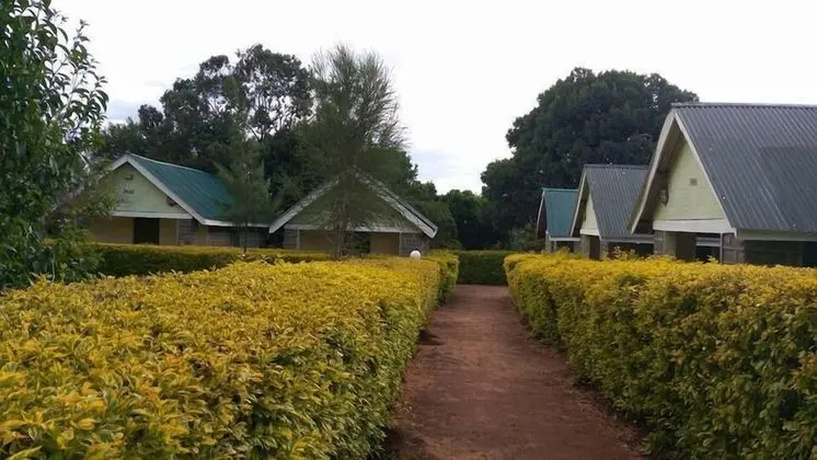 Rhino Camp