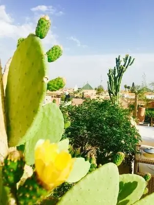 Riad 144 - Dış Mekan