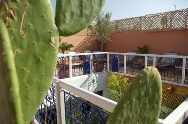 Riad Abaca Badra