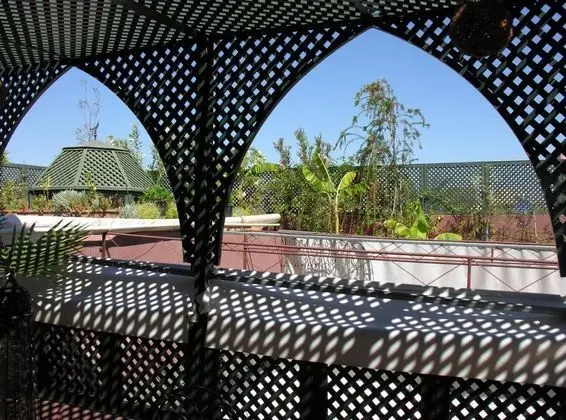Riad Al Mamoune - Genel