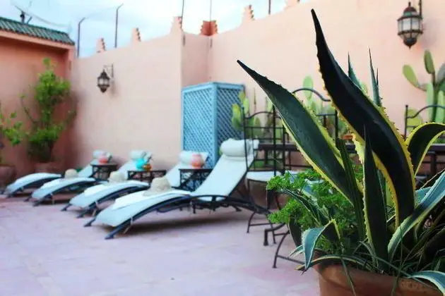 Riad Alida