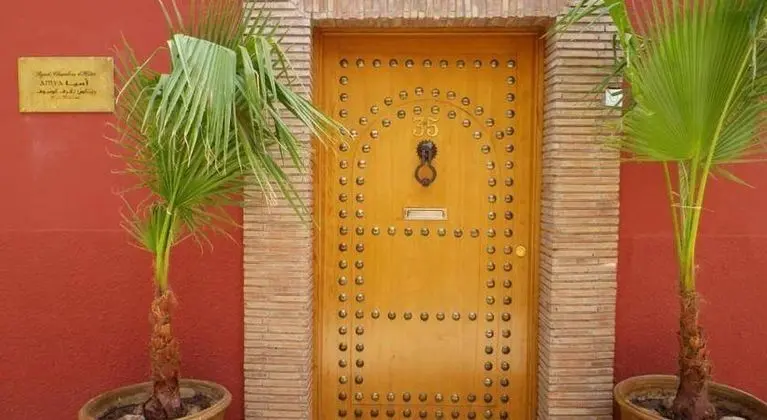 Riad Amya - Genel