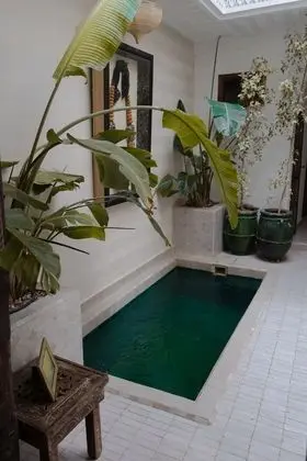 Riad Beata - Öne Çıkan Resim