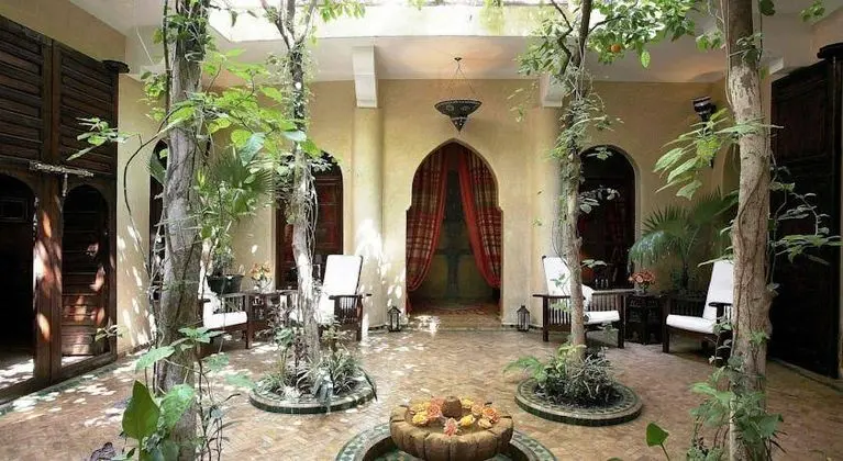 Riad Dama - Genel
