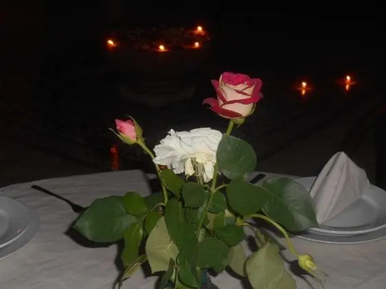 Riad Dar Nador - Spa
