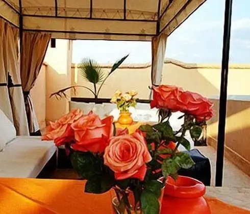 Riad Davia - Dış Mekan