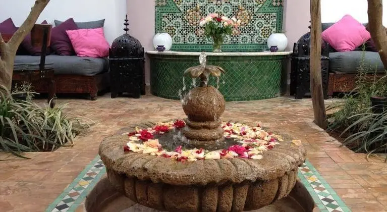 Riad Houdou - Genel