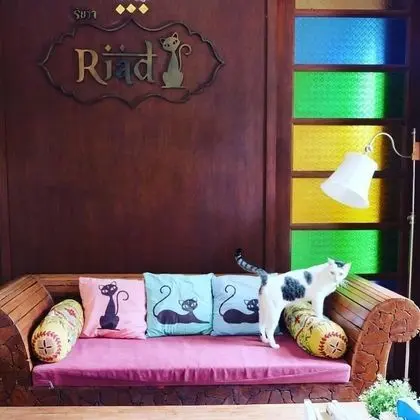 Riad Hua Hin Hotel - Lobi