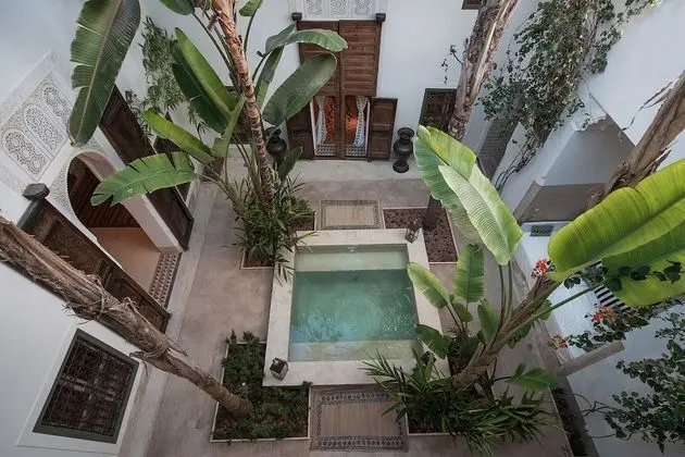 Riad Jaaneman - Öne Çıkan Resim
