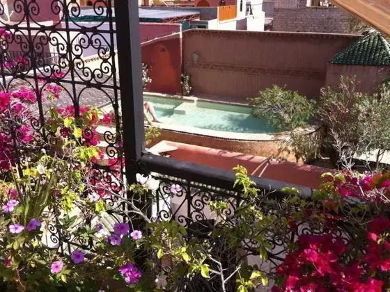 Riad Jona