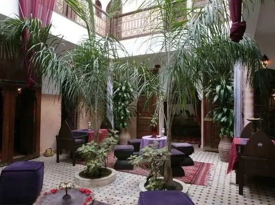 Riad Laora - Genel