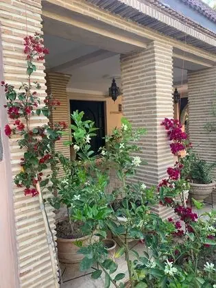 Riad le Jasmin - Dış Mekan