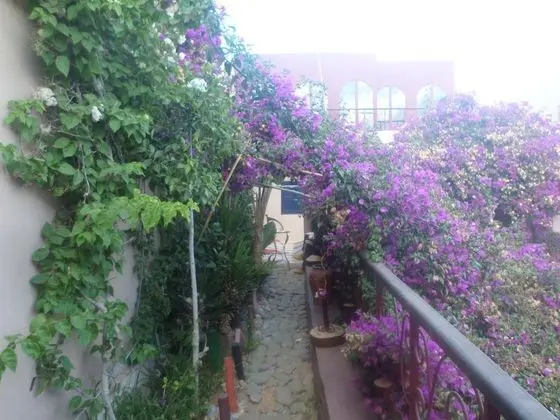 Riad Le Lieu