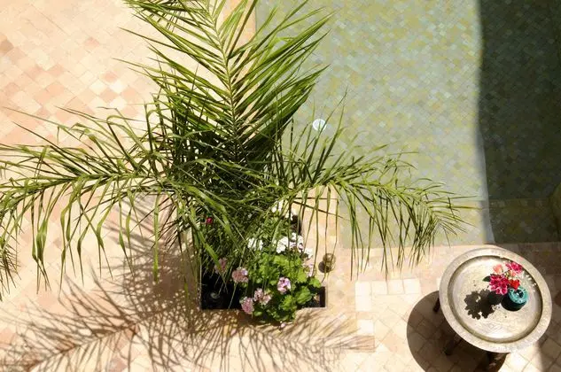 Riad Les Hibiscus