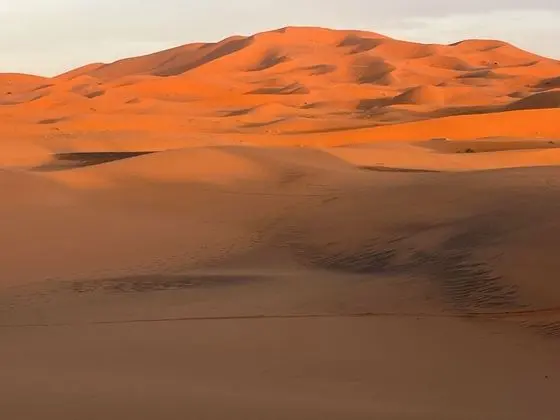 Riad Les Jardins De Merzouga - Dış Mekan