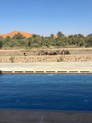 Riad Les Jardins De Merzouga - Havuz