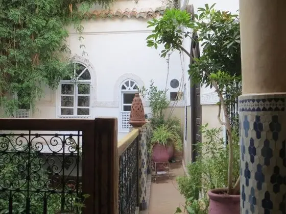 Riad Maizie