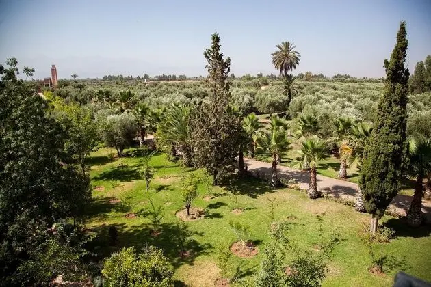 Riad Mayo - Dış Mekan