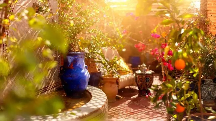 Riad Persephone - Dış Mekanlar