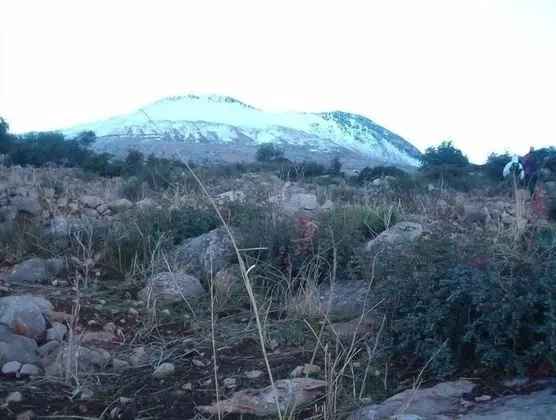 Riad Rafali - Dış Mekan
