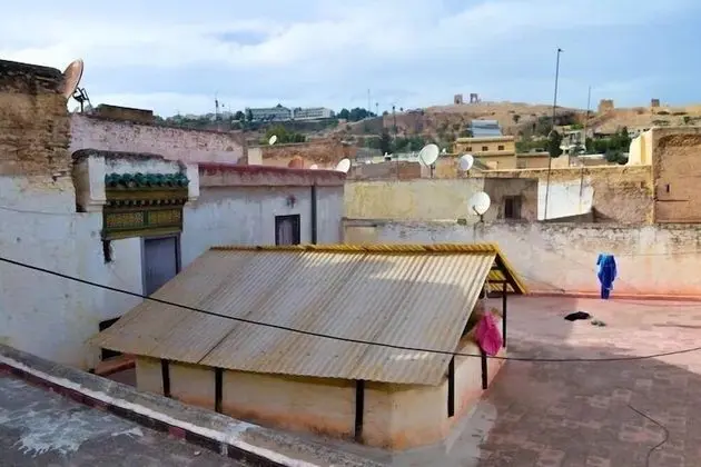 Riad Rajy - 1