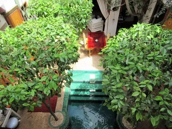 Riad Sadaka - Havuz