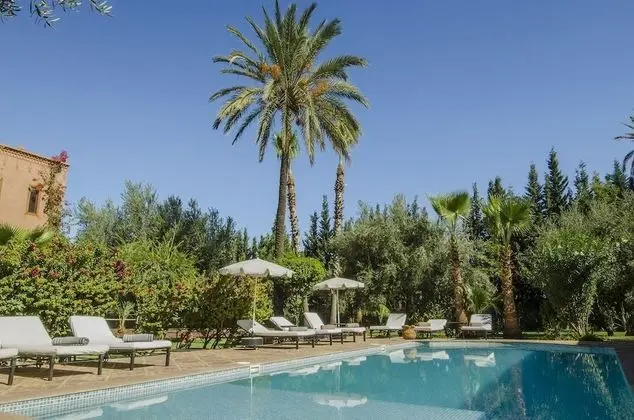 Riad Villa Sophia GHZALA - Havuz
