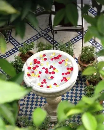 Riad Zouhour - Öne Çıkan Resim
