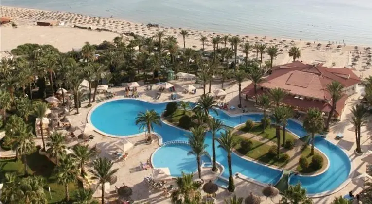 Riadh Palms