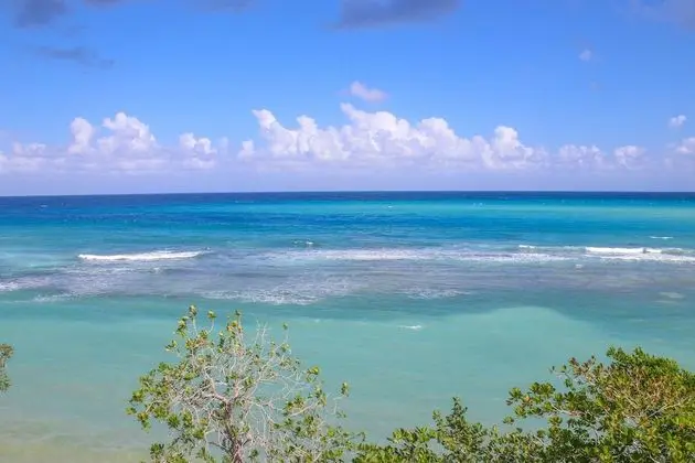 Rica Vista Beach Cottages - Plaj