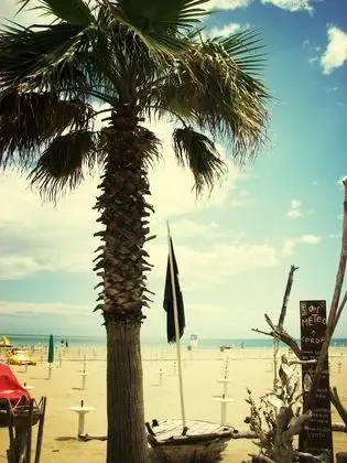 Riccione Beach Hotel - Plaj