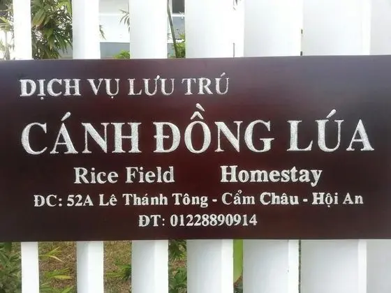 Rice Field Homestay - Genel