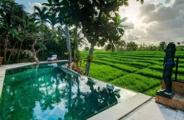 Rice Field Terrace Tirta Villa Canggu - Havuz
