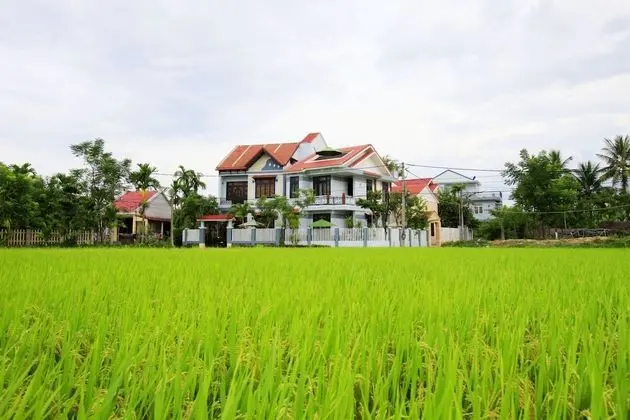 Rice Flower Homestay