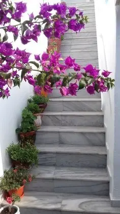 Ricos Two bedroom House - Naoussa Paros - Dış Mekan