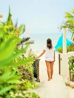 Villa - Right on the Beach, Under the Coconut Trees, Sleeps 10, Pool, Chef