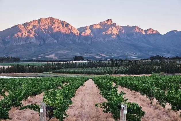 Rijks Wine Estate and Hotel - Adults Only