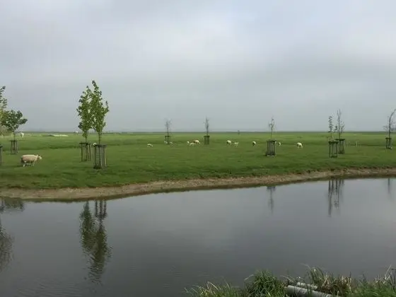 Rijnhoeve - Dış Mekan