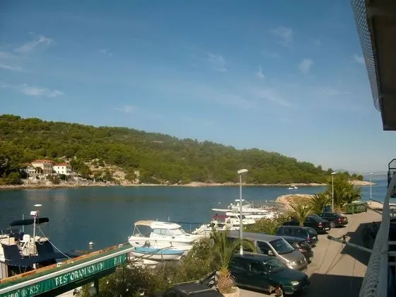 Riley - at the sea - A1-martino 1