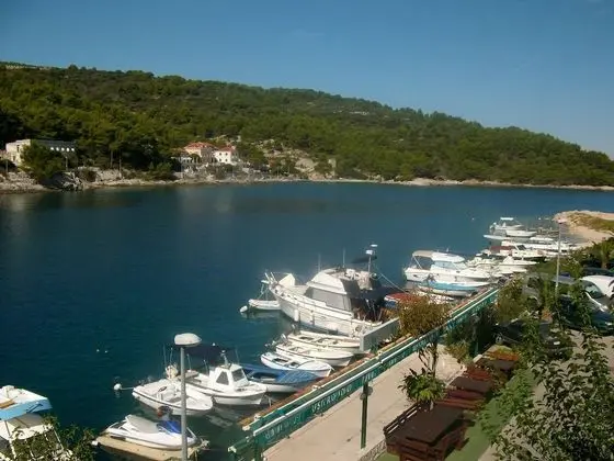 Riley - at the sea - A4-martino 4