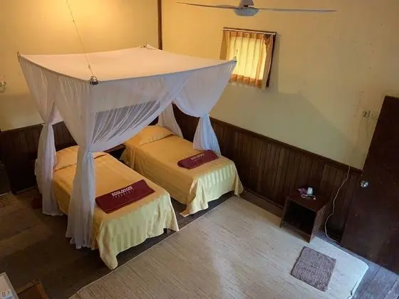 Rimba Orangutan Eco Lodge - Oda