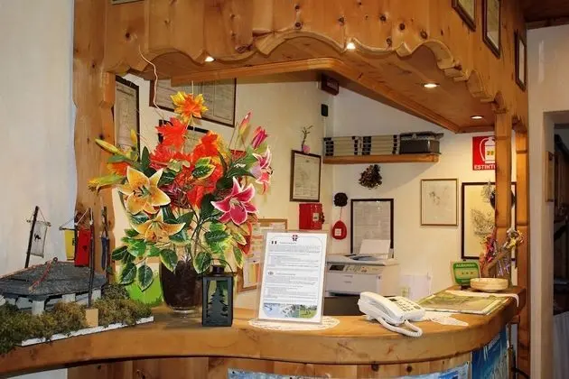 Hotel Villa Rina - Lobi